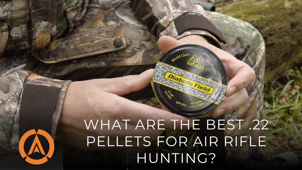 What are the best .22 pellets for air rifle hunting?